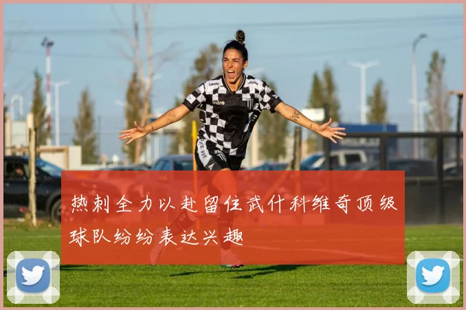 热刺全力以赴留住武什科维奇顶级球队纷纷表达兴趣