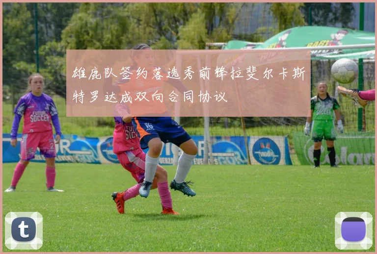 雄鹿队签约落选秀前锋拉斐尔卡斯特罗达成双向合同协议