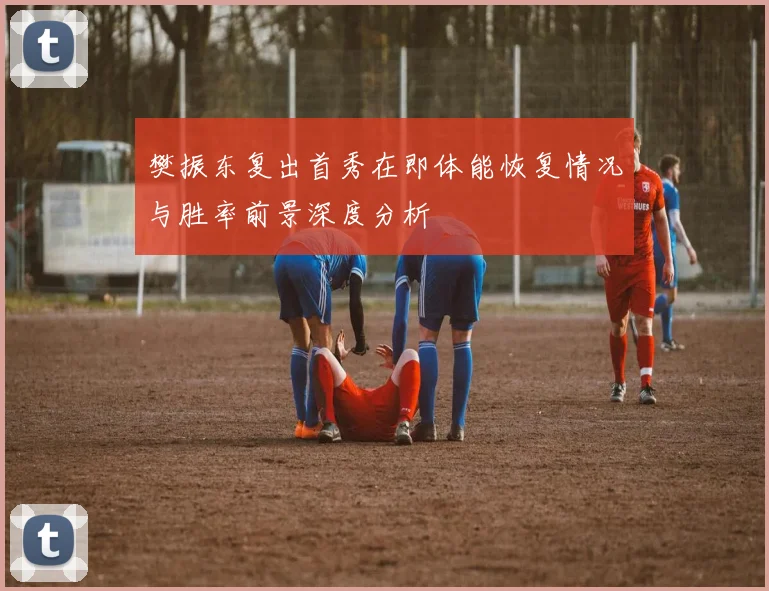 樊振东复出首秀在即体能恢复情况与胜率前景深度分析